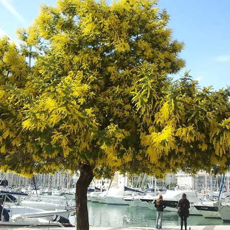 Golfs De Valescure Apartman Saint-Raphaël